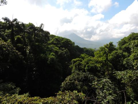 2-in-1 Hanging Bridges & Safari Float Costa Rica